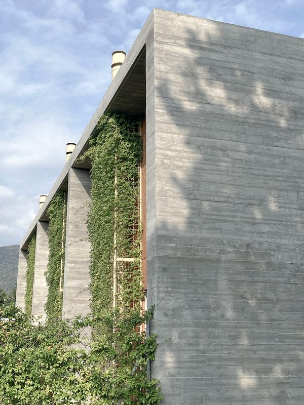 VER - Carèsg – SIMONE BOSSI ©